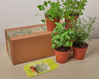 House Plant Specialty Box